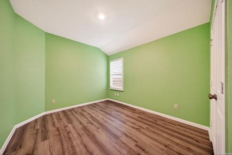 1921 Grey Wagtail New Braunfels TX 78130