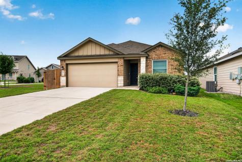 1921 Grey Wagtail New Braunfels TX 78130