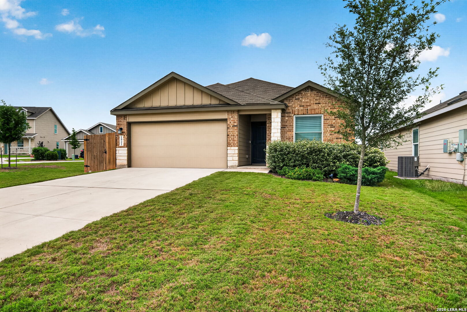 1921 Grey Wagtail New Braunfels TX 78130