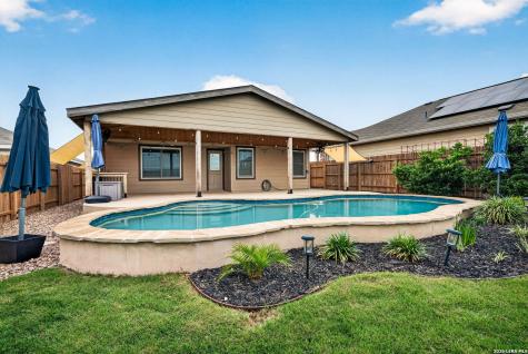 1921 Grey Wagtail New Braunfels TX 78130