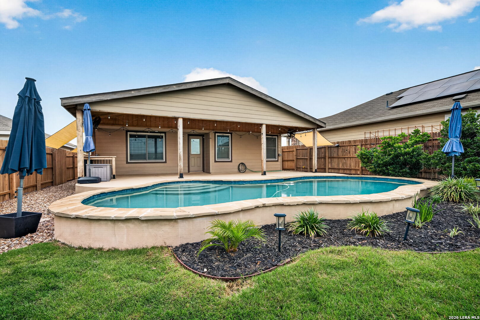 1921 Grey Wagtail New Braunfels TX 78130