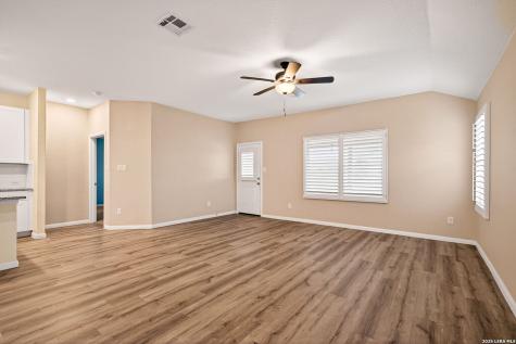 1921 Grey Wagtail New Braunfels TX 78130