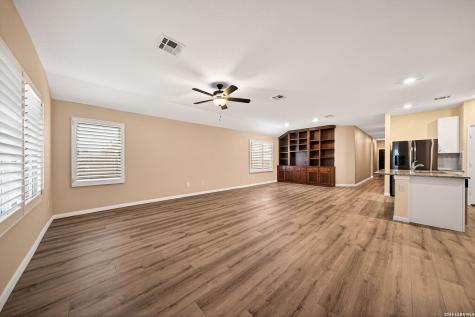 1921 Grey Wagtail New Braunfels TX 78130