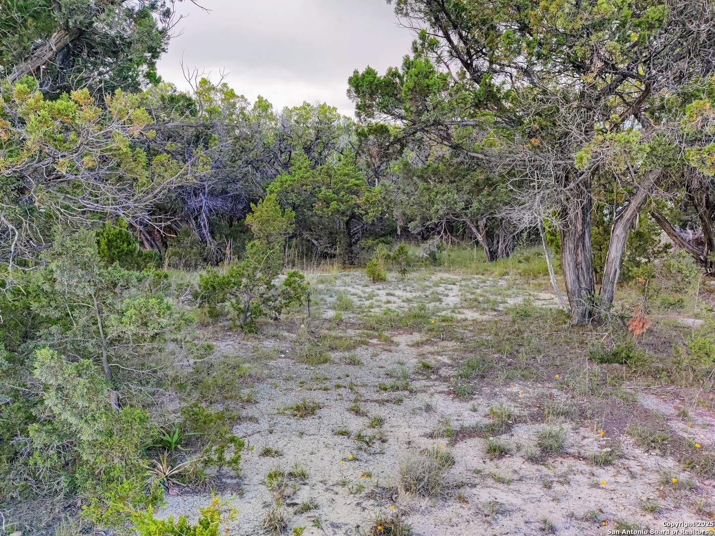 Tbd Whartons Dock Road Bandera TX 78003