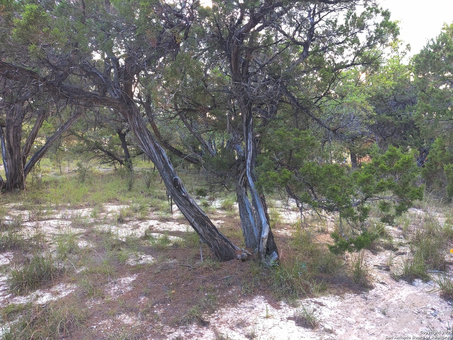Tbd Whartons Dock Road Bandera TX 78003