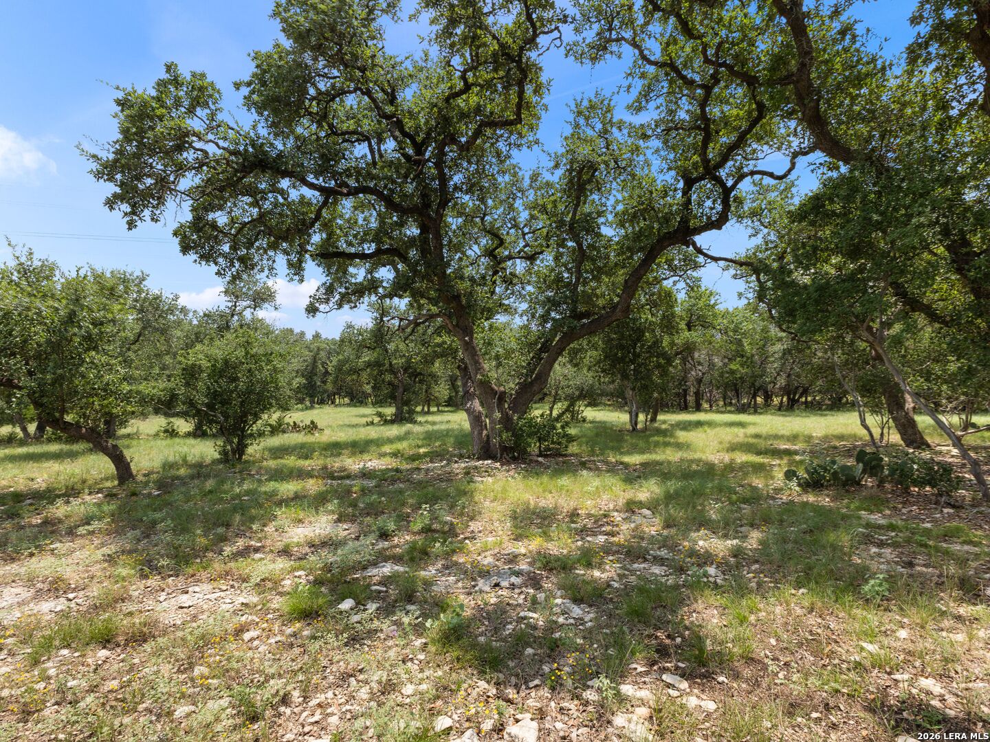 32746 Stahl Lane Bulverde TX 78163