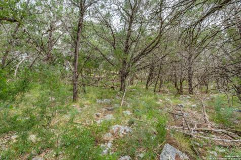 318 Iron Hill New Braunfels TX 78132