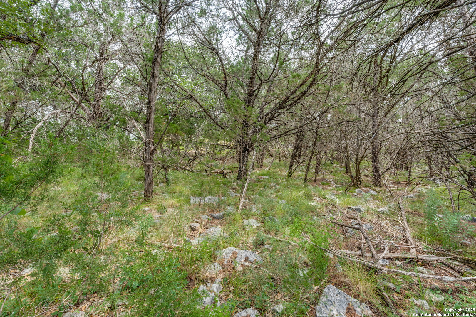 318 Iron Hill New Braunfels TX 78132
