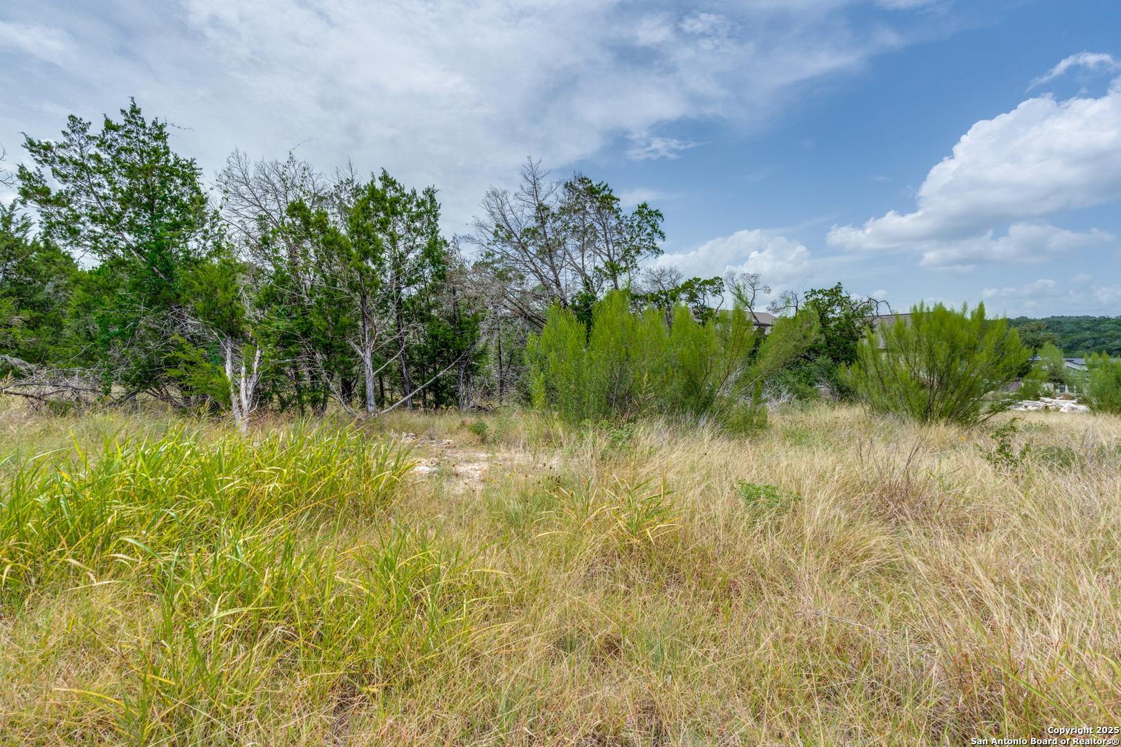 318 Iron Hill New Braunfels TX 78132