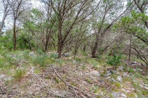 318 Iron Hill New Braunfels TX 78132