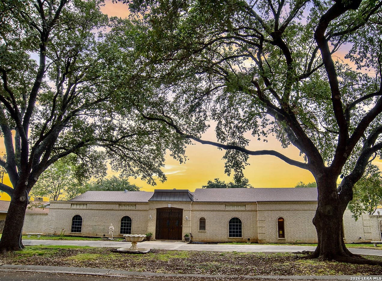 107 Chattington Court Castle Hills TX 78213