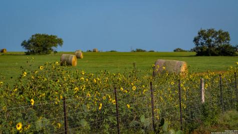 2387 Fm 537 Floresville TX 78114