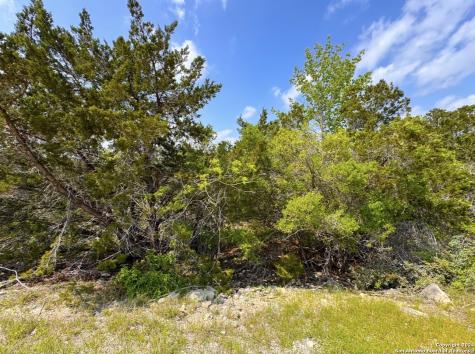 985 Oblate Drive Canyon Lake TX 78133