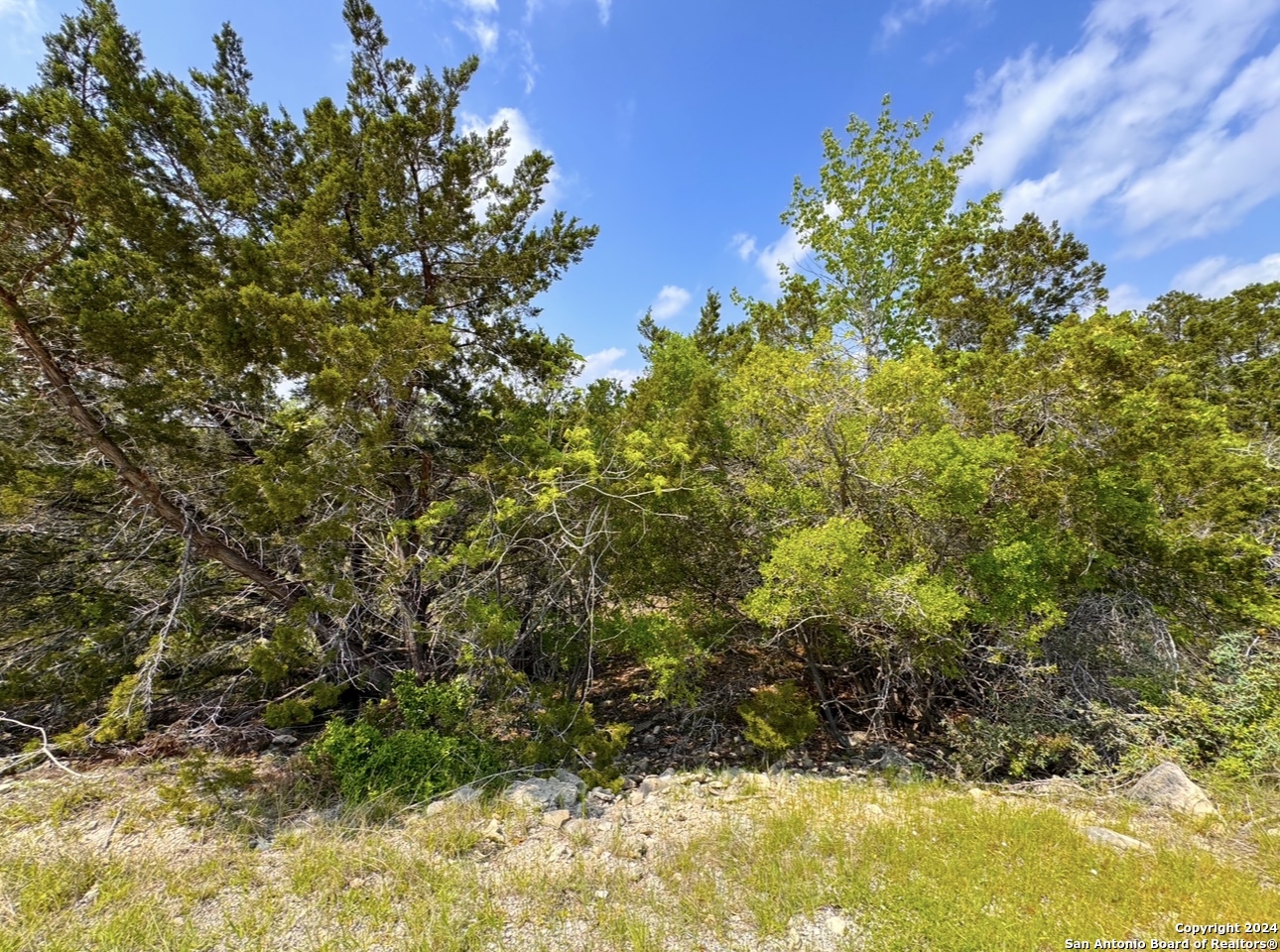 985 Oblate Drive Canyon Lake TX 78133