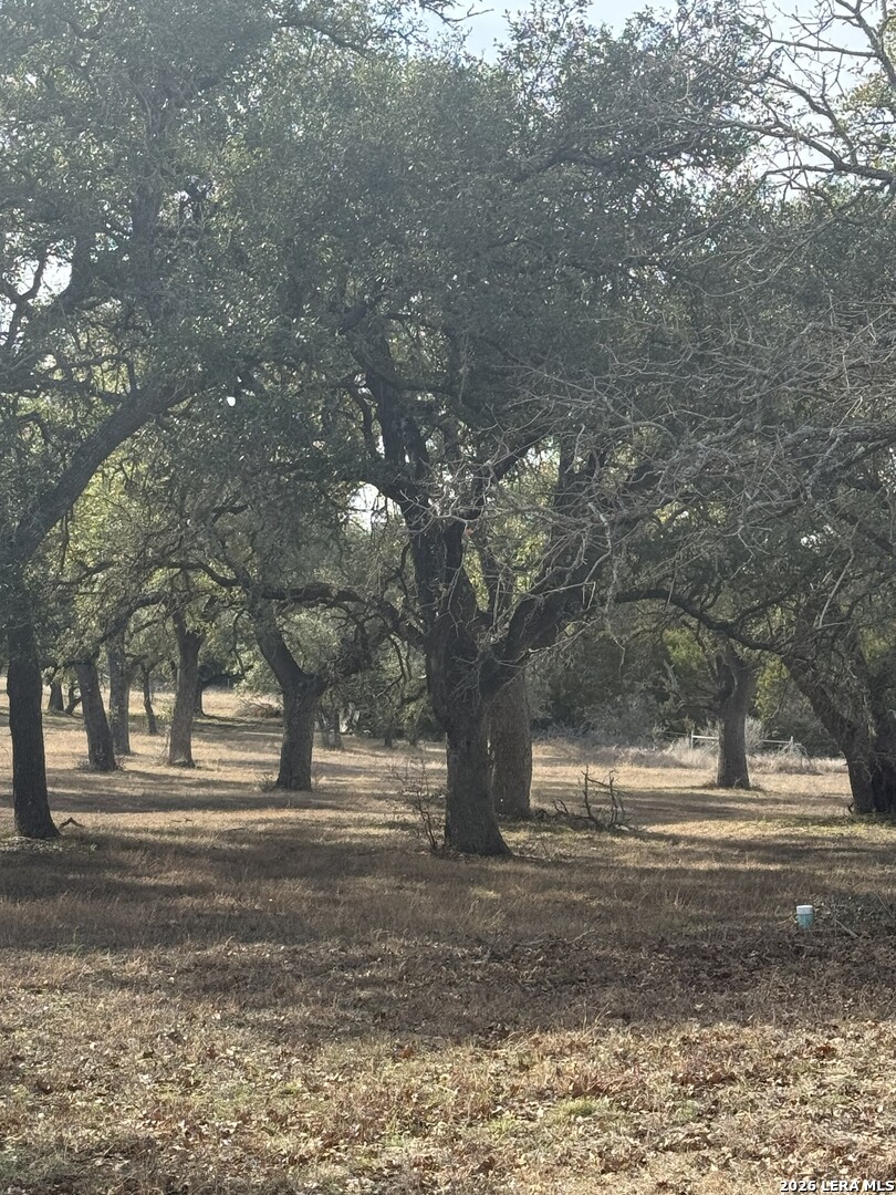 31910 Blanco Bulverde TX 78163