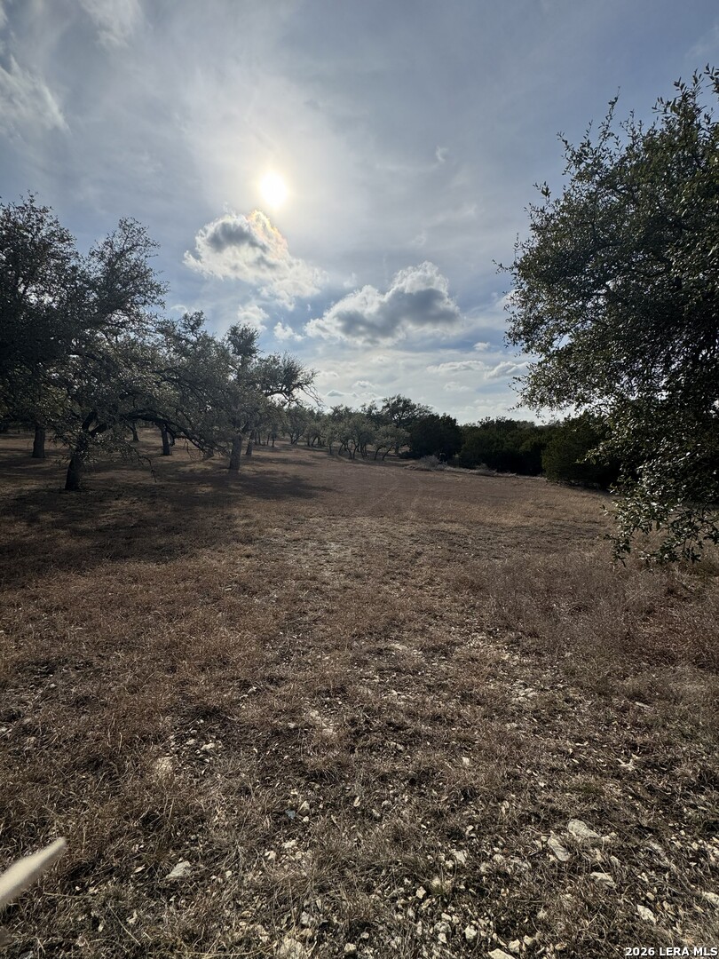 31910 Blanco Bulverde TX 78163