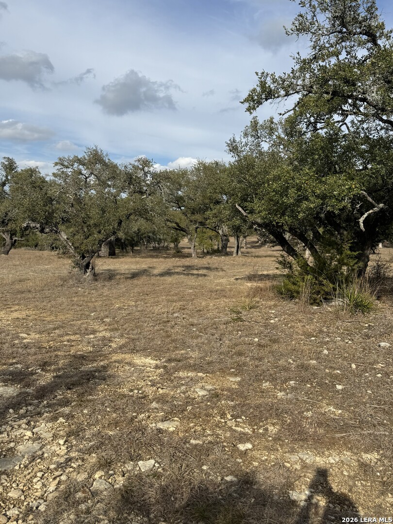 31910 Blanco Bulverde TX 78163