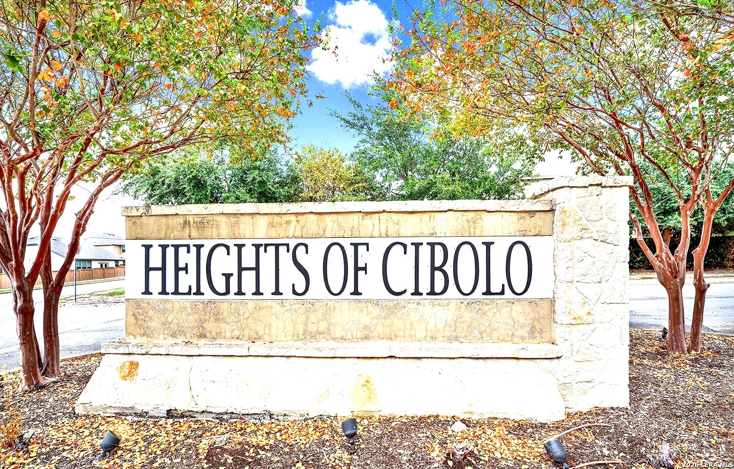 216 Norwood Court Cibolo TX 78108