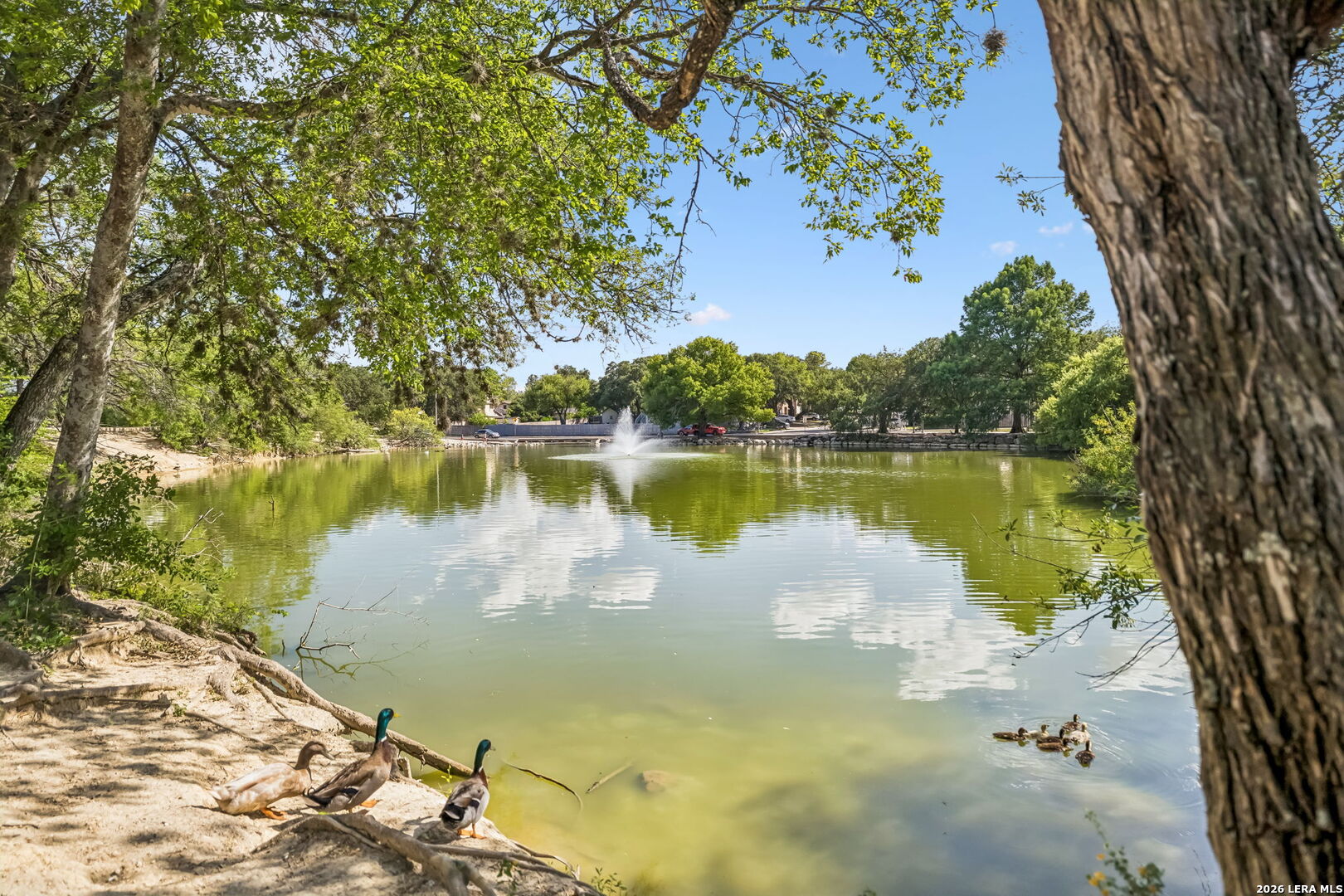 1134 Longmont San Antonio TX 78245