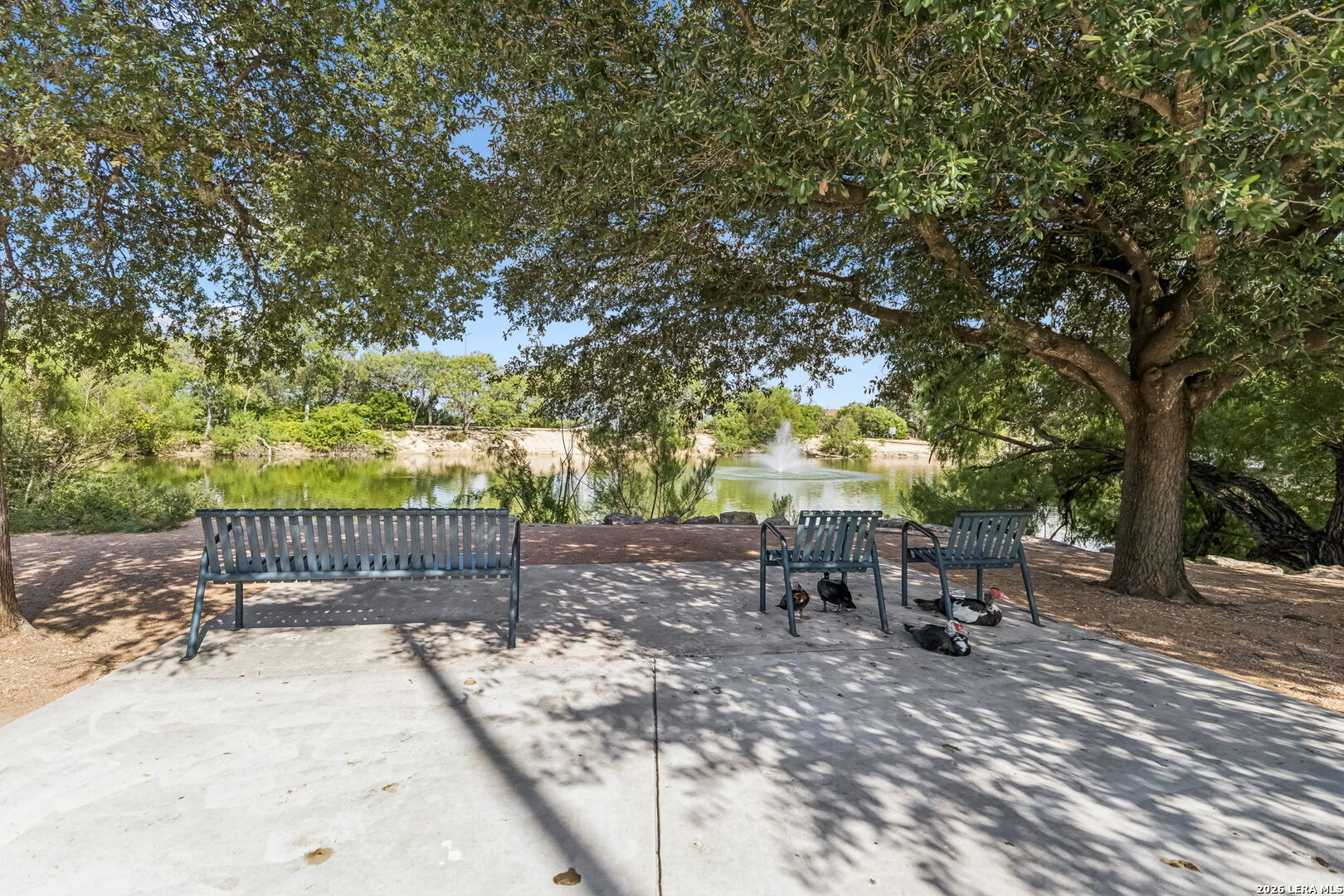 1134 Longmont San Antonio TX 78245