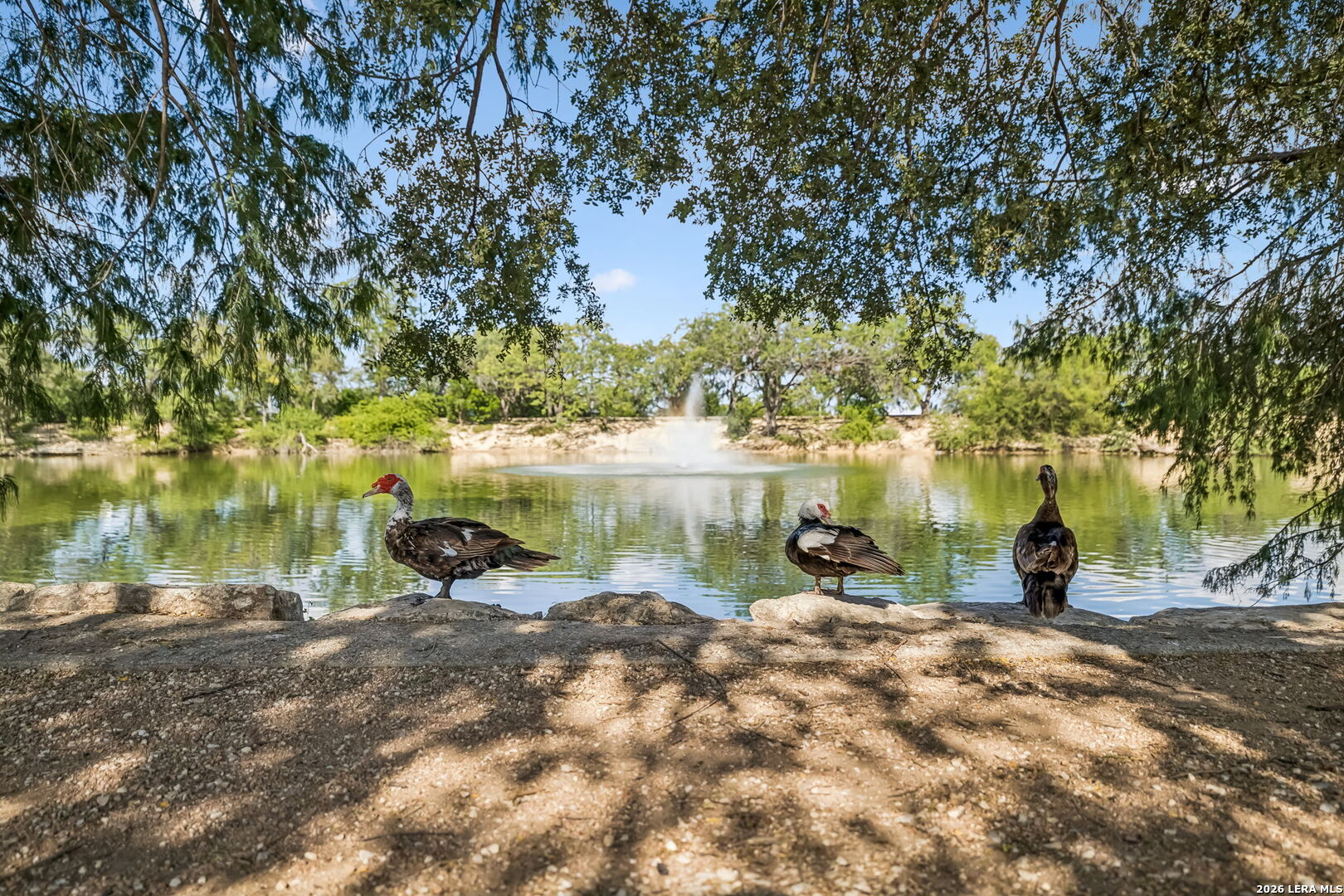 1134 Longmont San Antonio TX 78245