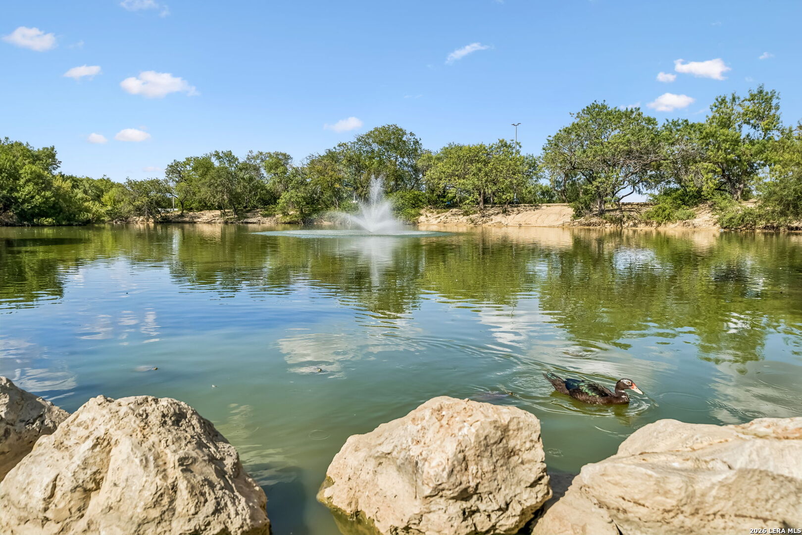 1134 Longmont San Antonio TX 78245