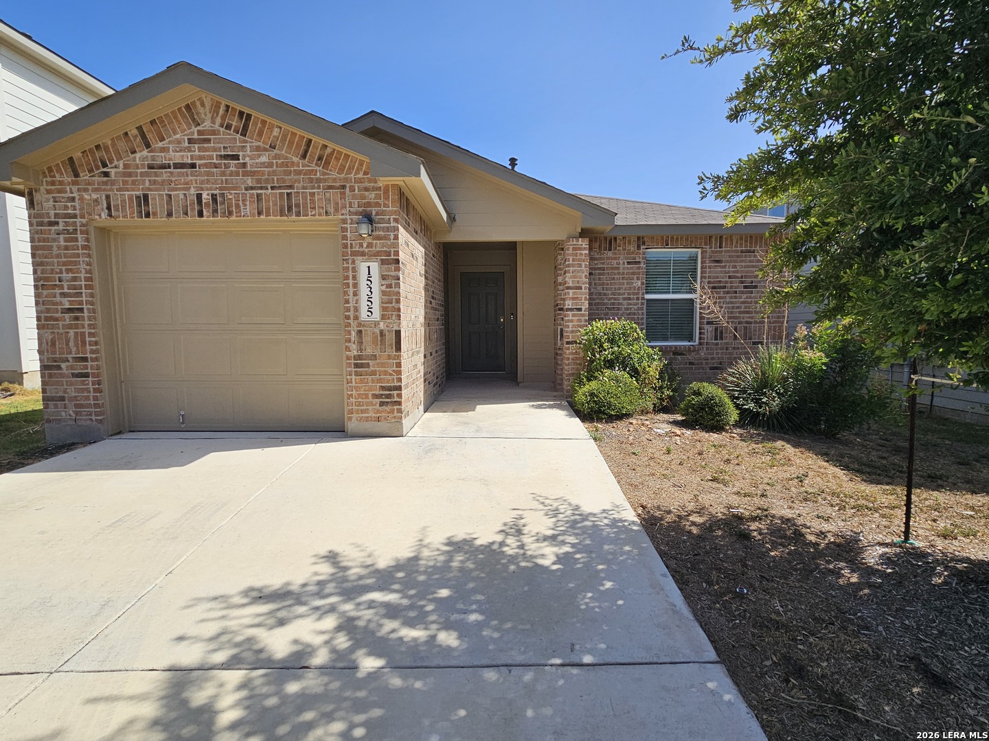15355 Brown Violetear San Antonio TX 78253