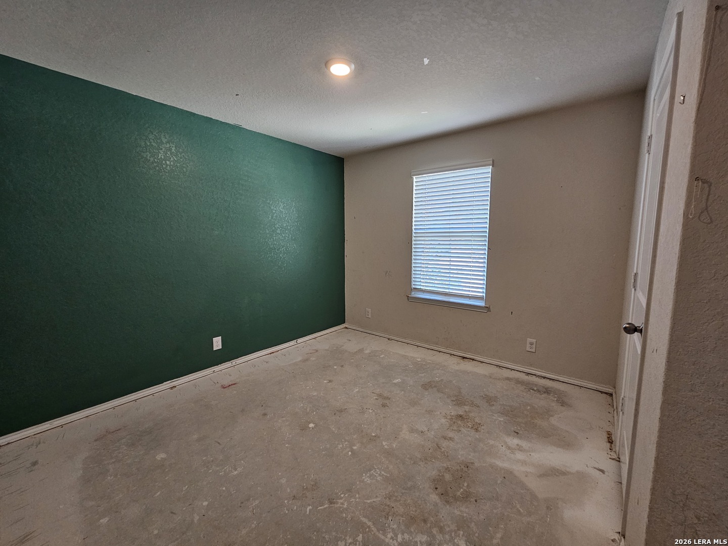15355 Brown Violetear San Antonio TX 78253