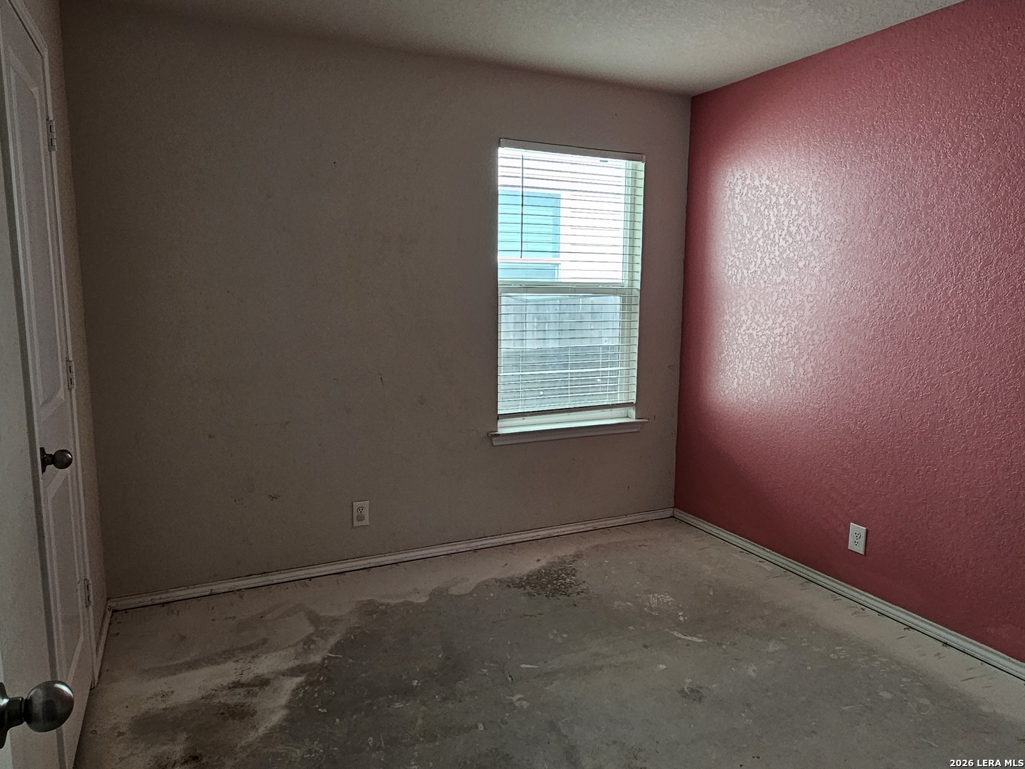 15355 Brown Violetear San Antonio TX 78253