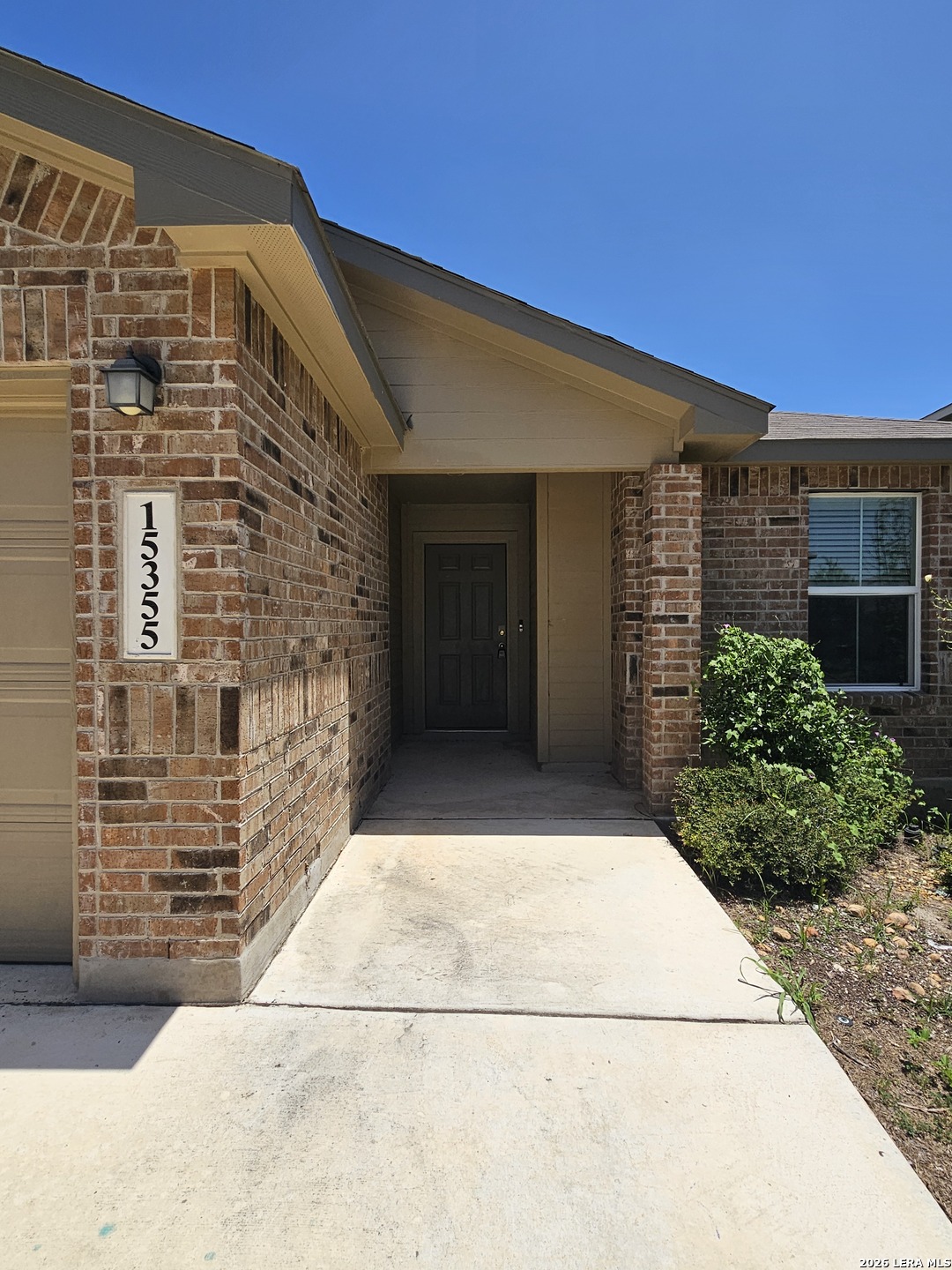 15355 Brown Violetear San Antonio TX 78253