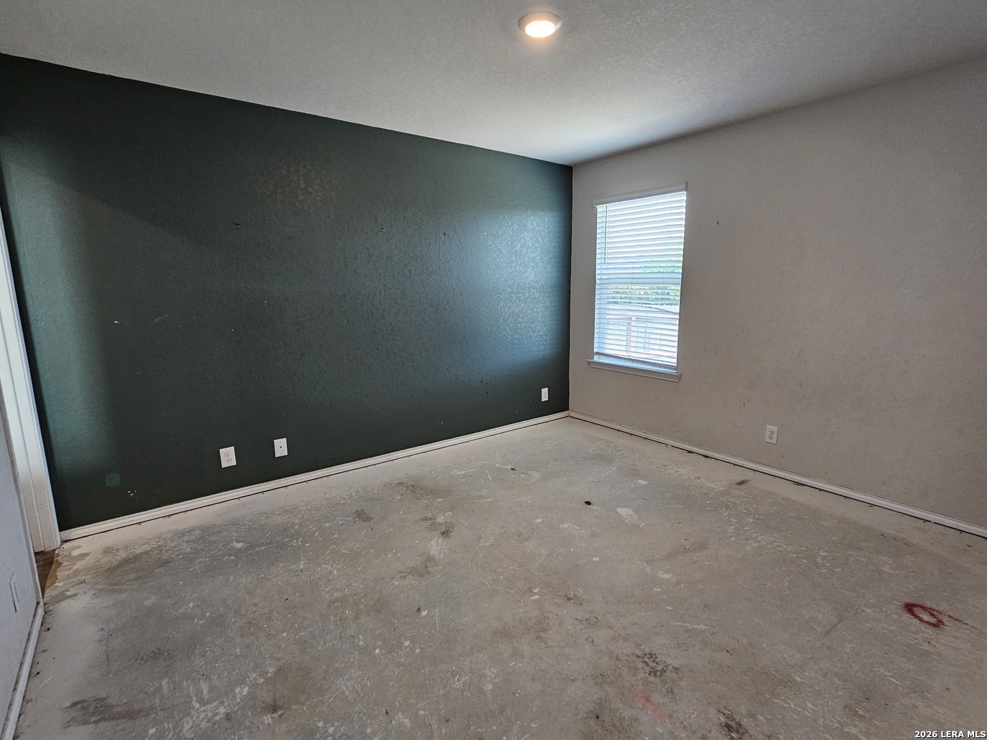 15355 Brown Violetear San Antonio TX 78253