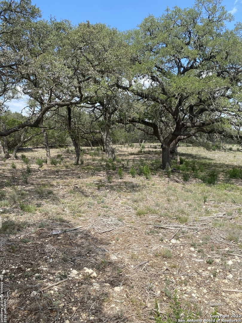 24510 Paraiso Ridge San Antonio TX 78255
