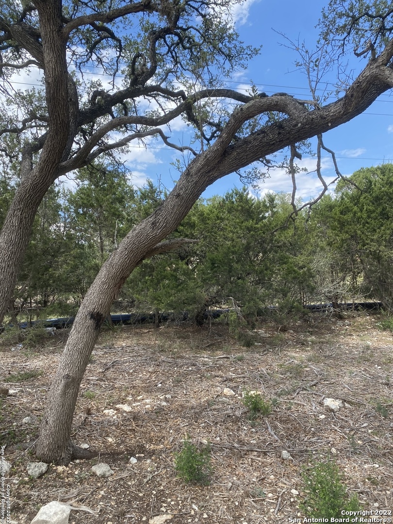 24510 Paraiso Ridge San Antonio TX 78255