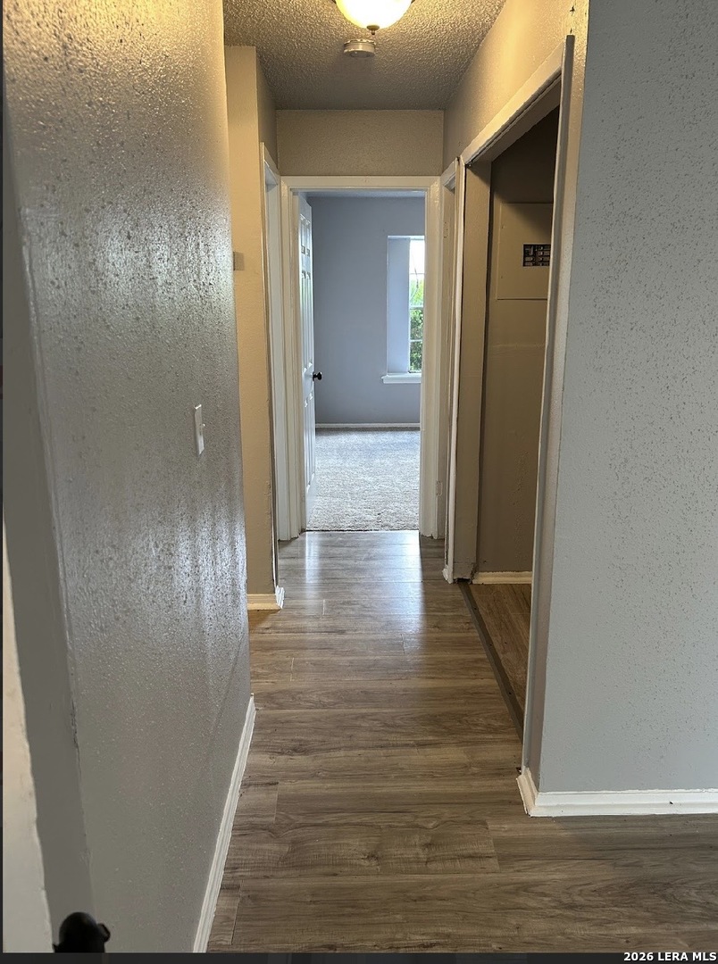 8017 Chipping San Antonio TX 78239