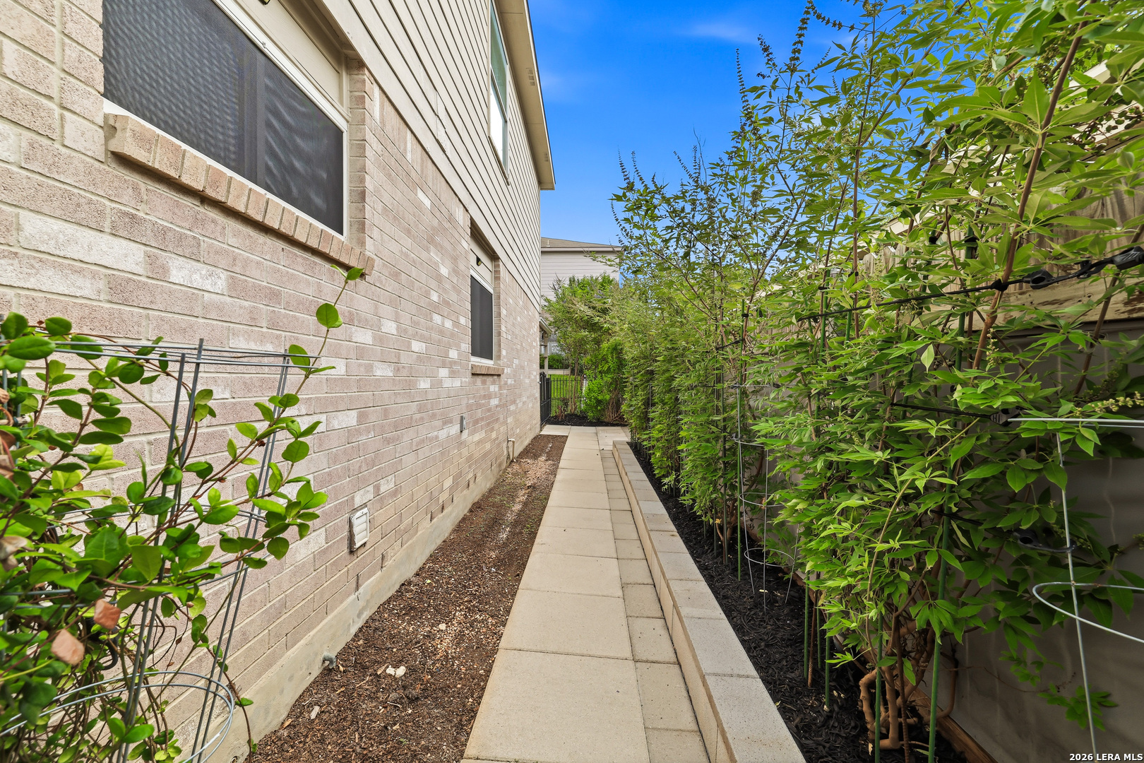 230 Blue Juniper San Antonio TX 78253
