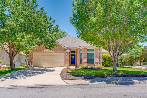 3119 Sonora Mesa San Antonio TX 78232