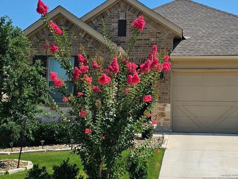 2031 Cowan Drive New Braunfels TX 78132