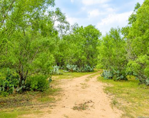 3137 County Road 5710 Devine TX 78016