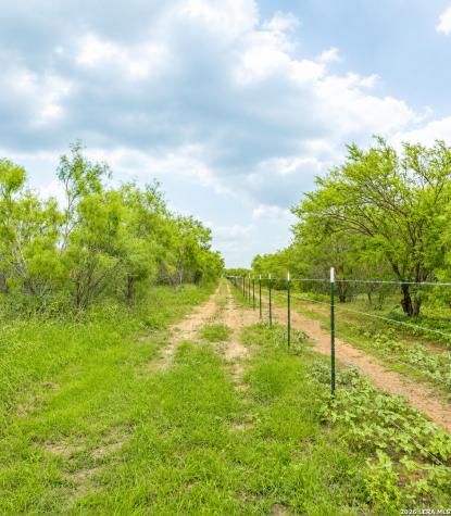 3137 County Road 5710 Devine TX 78016