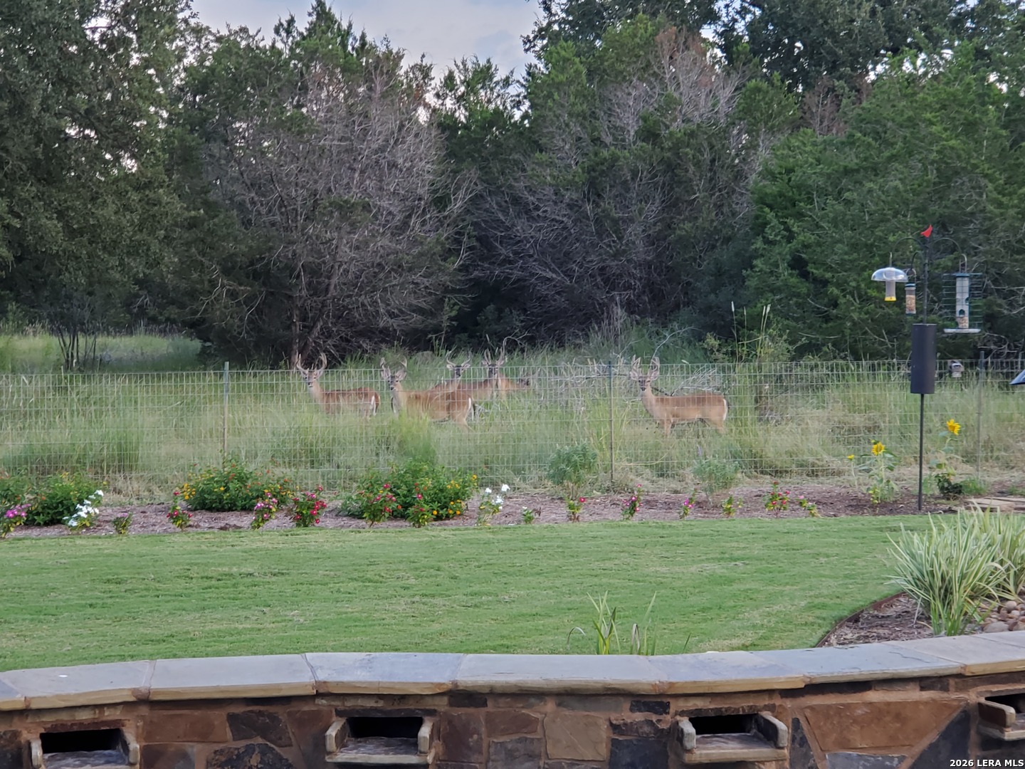 30392 Setterfeld Circle Fair Oaks Ranch TX 78015