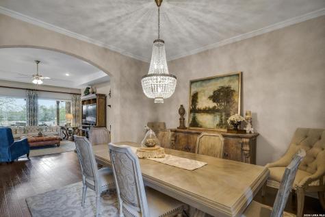 30392 Setterfeld Circle Fair Oaks Ranch TX 78015