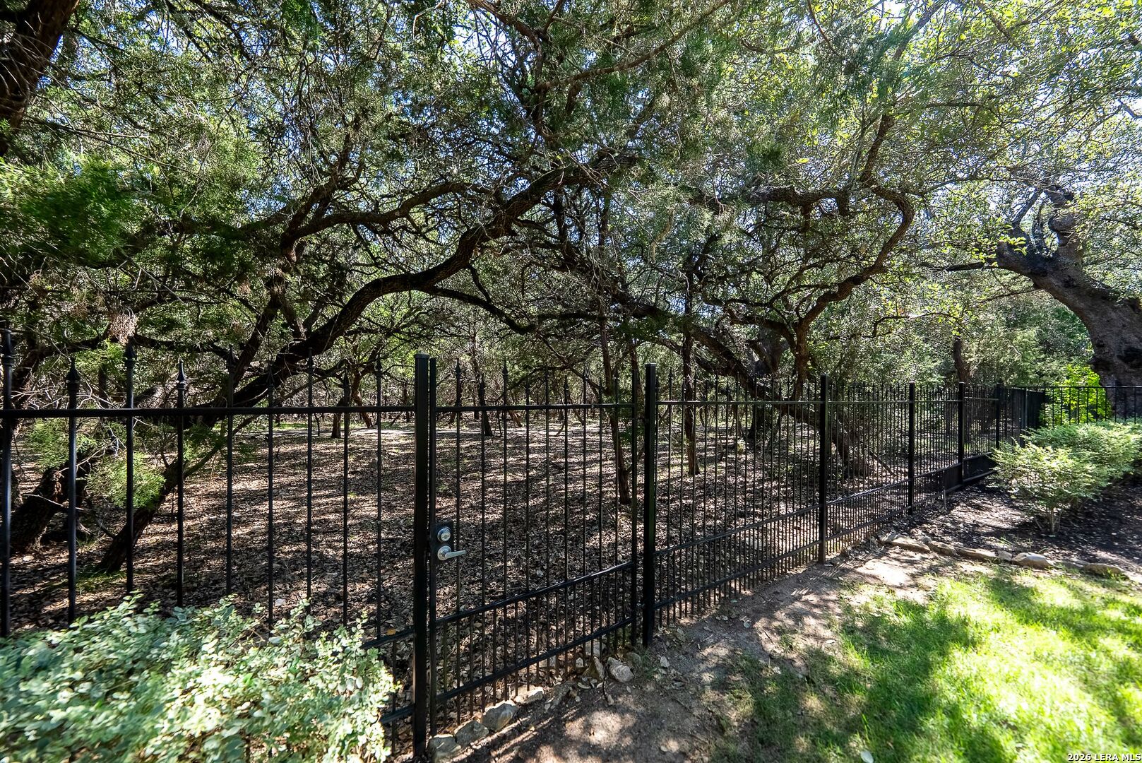 4678 Amorosa Way San Antonio TX 78261