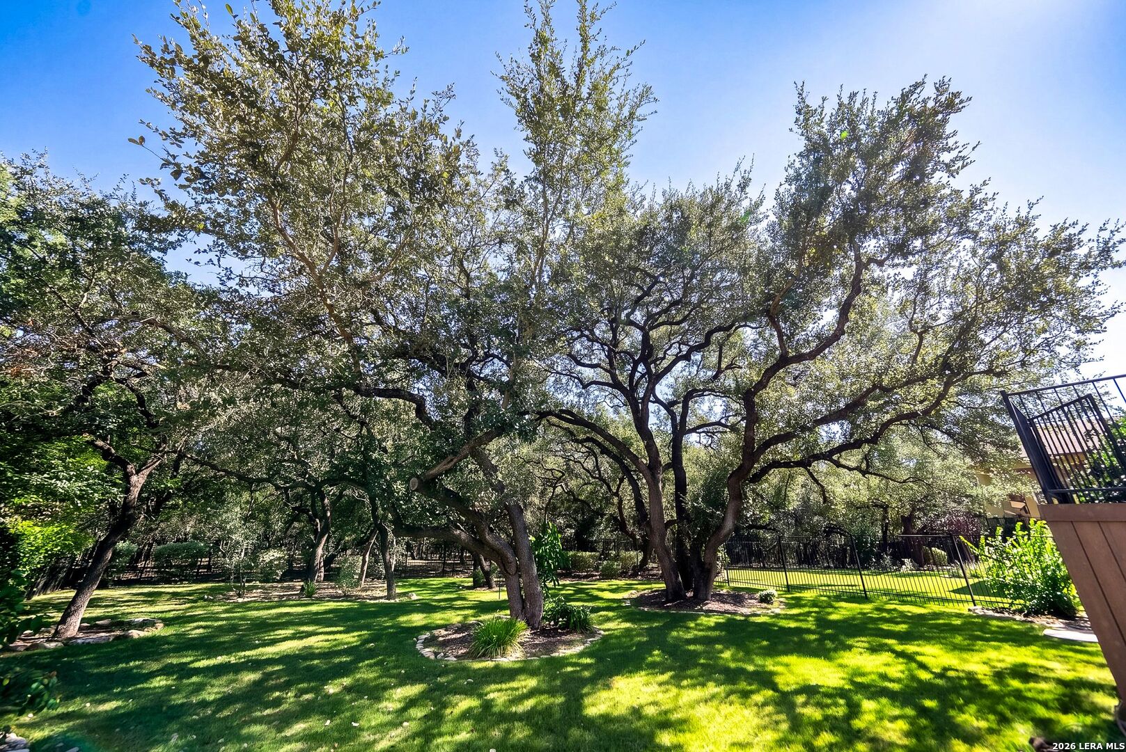 4678 Amorosa Way San Antonio TX 78261