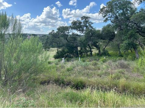 1728 Chardonnay New Braunfels TX 78132