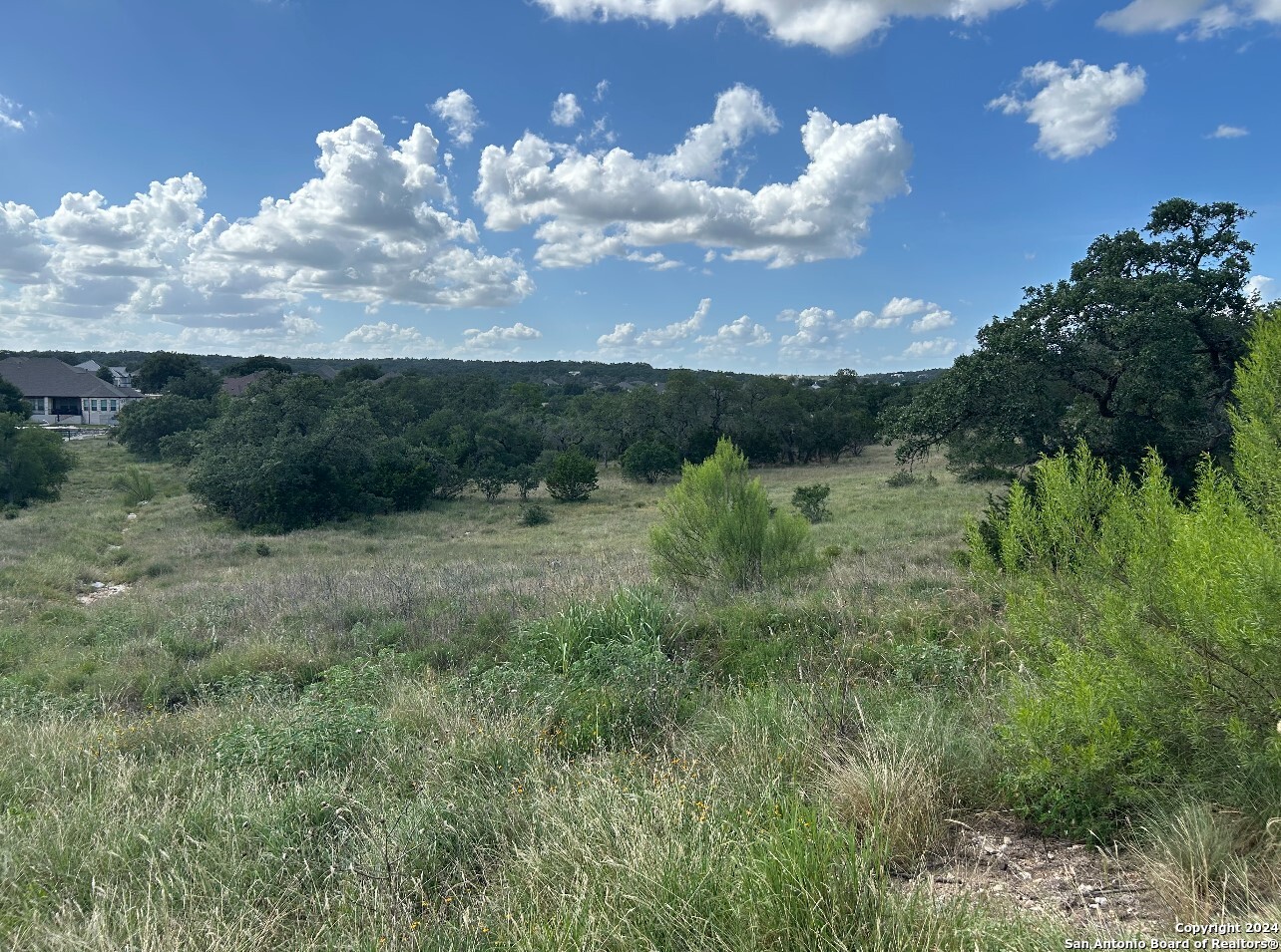 1728 Chardonnay New Braunfels TX 78132