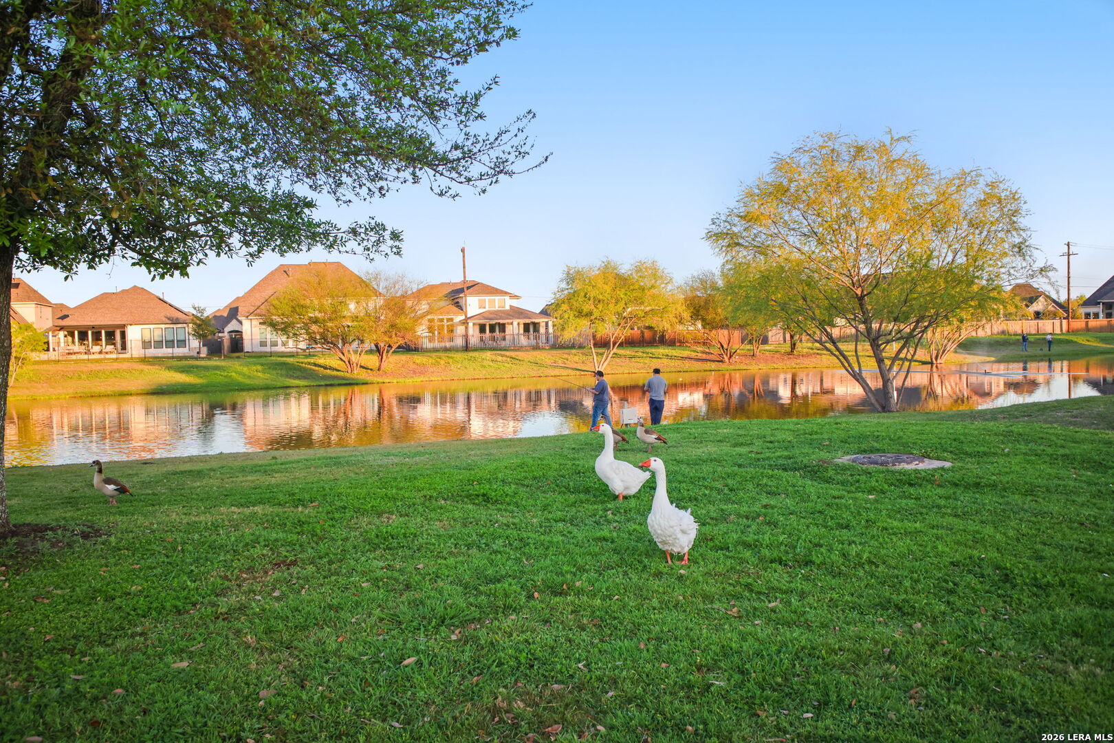 8826 Haystack Road San Antonio TX 78254