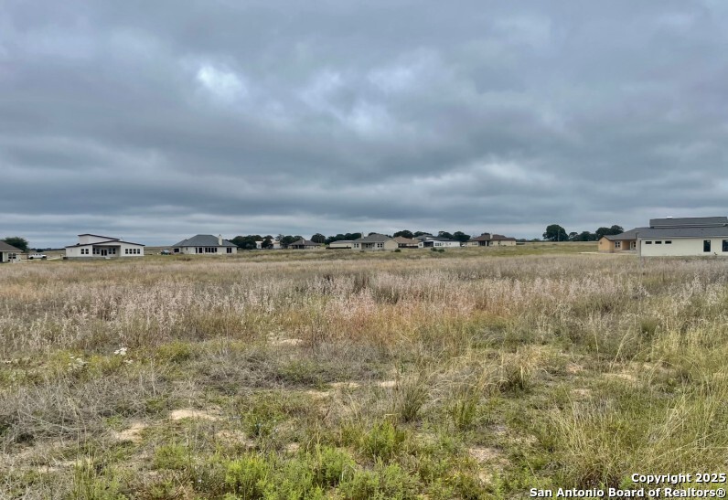 222 Colonial La Vernia TX 78121