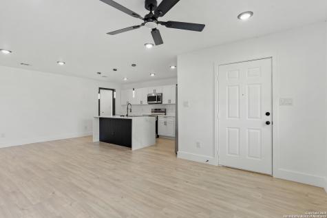 134 Elmo San Antonio TX 78225