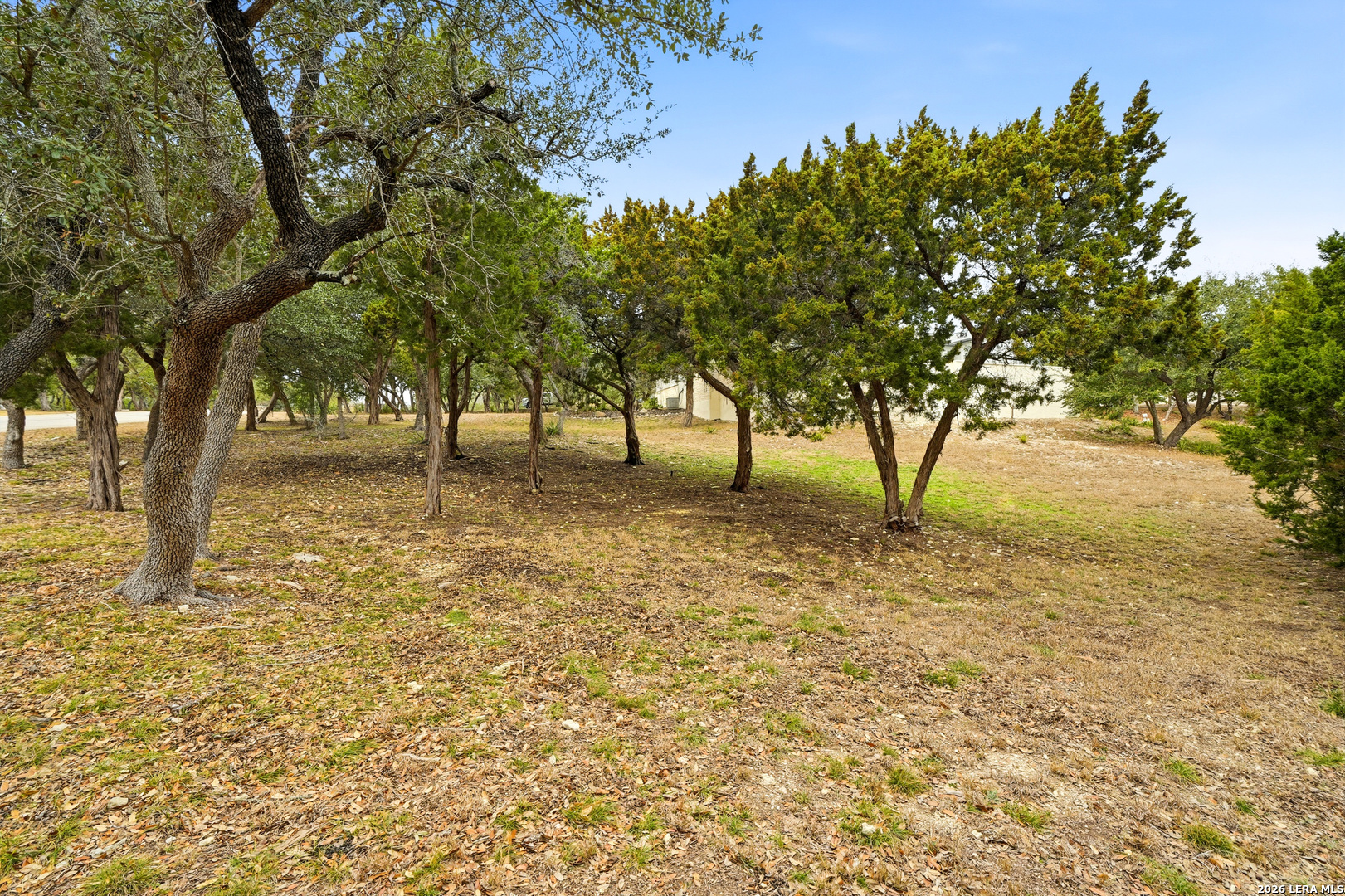 24802 Caliza Boerne TX 78006
