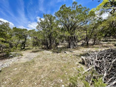 2342 Bobcat Drive Bulverde TX 78163